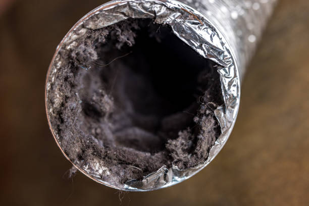 Best Air Duct Cleaning Company Near Me  in Peabody, MA