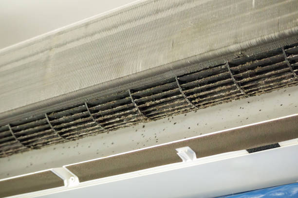 Best Dryer Vent Cleaning Services  in Peabody, MA
